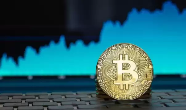 有哪些币种分析平台?最受欢迎是哪些?