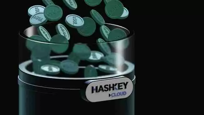把握机遇,解锁流量密码,HashKey 第三季度成功拓展 Web3 增长新路径