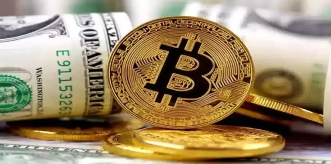 一文了解：币圈什么是老虎仓、土狗项目