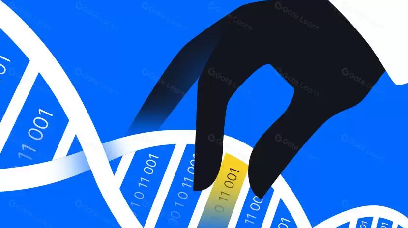 什么是加密货币的哈希函数？