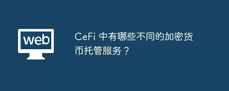 CeFi 中有哪些不同的加密货币托管服务？