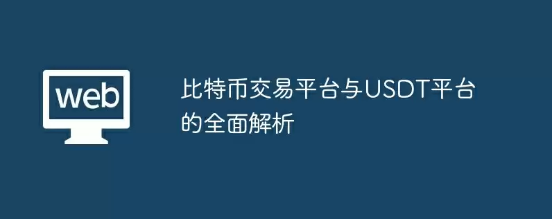 比特币交易平台与usdt平台的全面解析