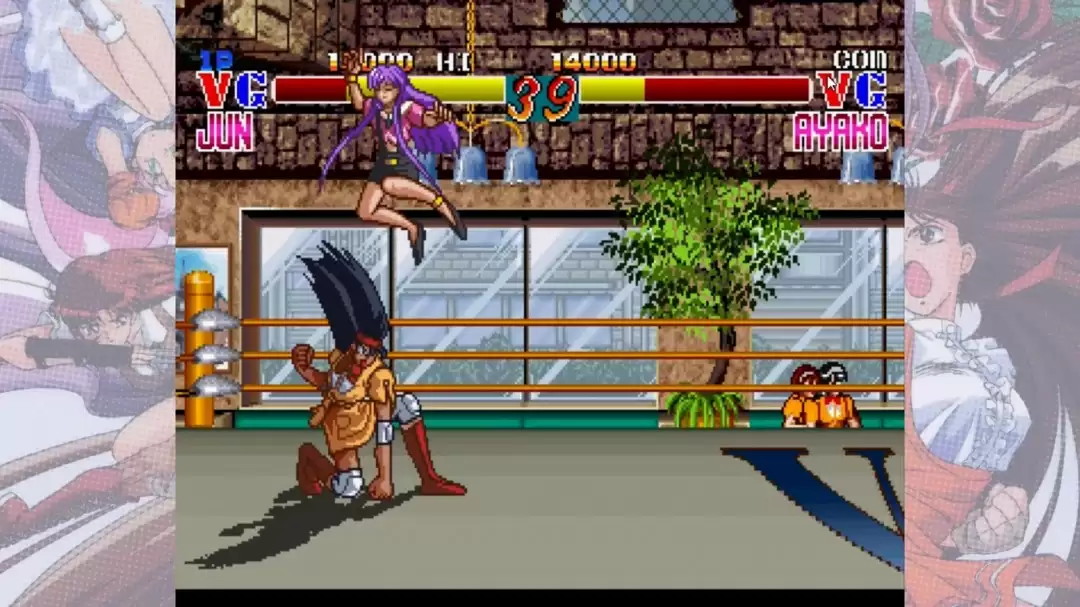 姬武神传说V.G:经典格斗游戏的现代重生