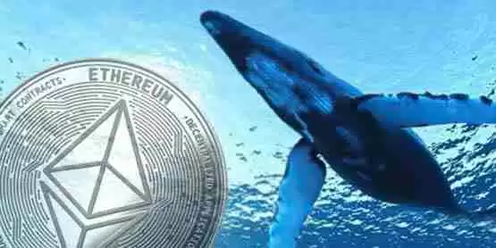 逃顶大师以太坊基金会又出货!将3.5万枚ETH转往交易所Kraken