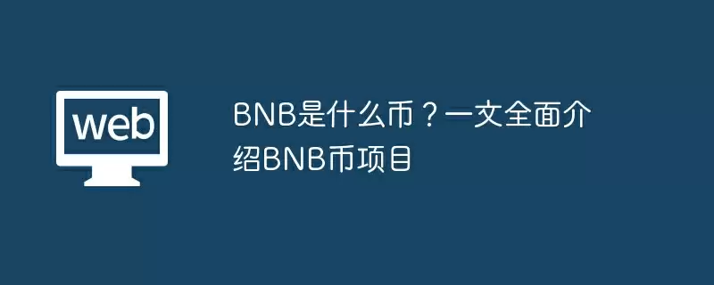 BNB是什么币？一文全面介绍BNB币项目