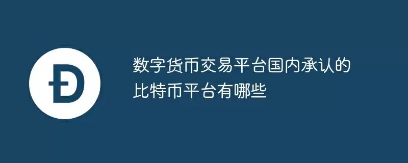 数字货币交易平台国内承认的比特币平台有哪些