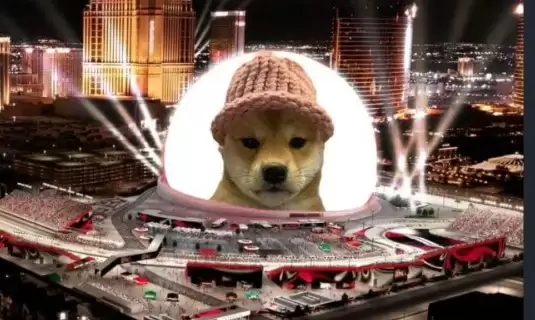WIF币有前景吗？WIF币未来会暴涨吗？