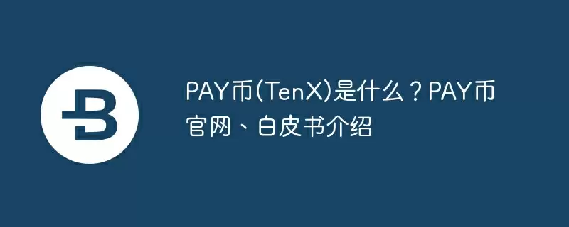 pay币(tenx)是什么?pay币官网、白皮书介绍