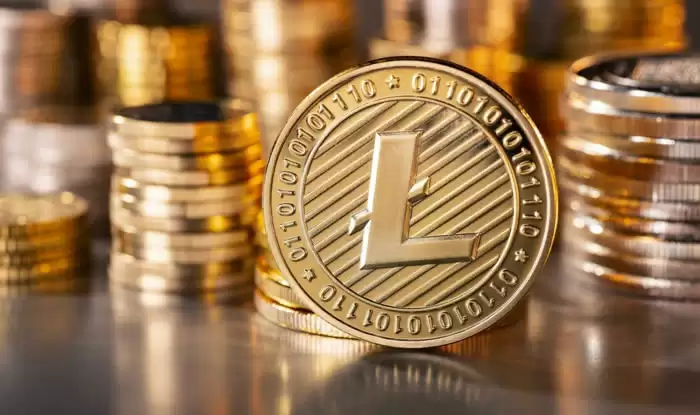 莱特币是如何在交易平台中运作的?莱特币(LTC)交易平台哪些好用?