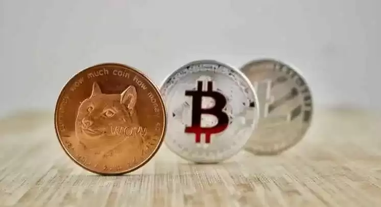 DOGEKING是什么币种?一文带你了解DOGEKING币