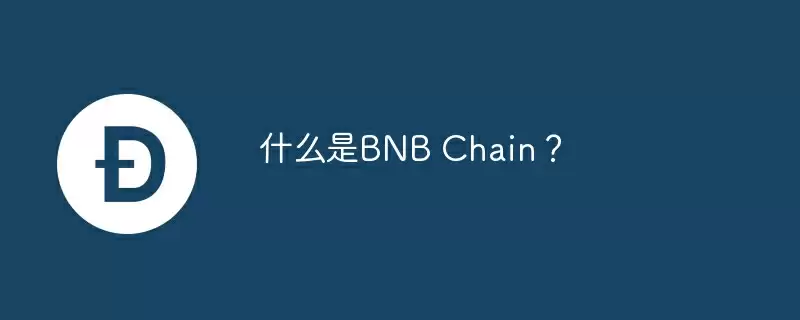 什么是bnb chain？