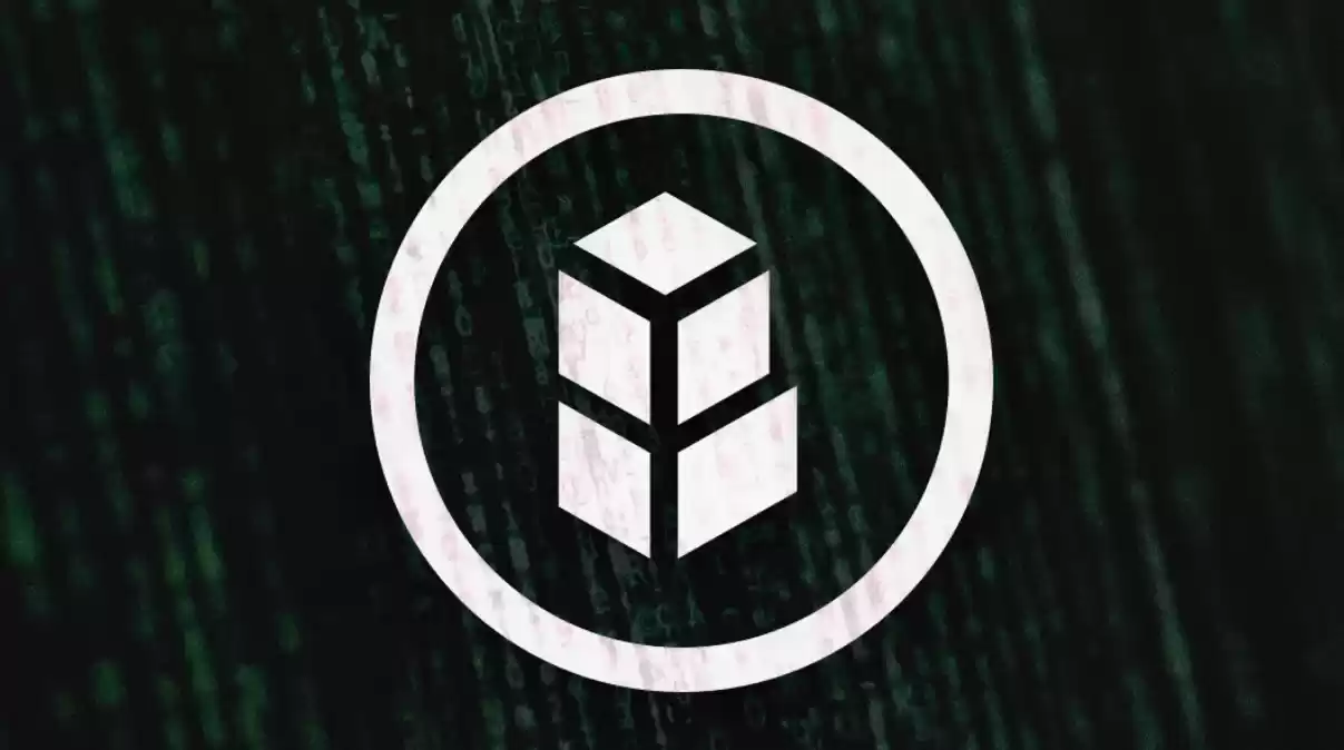 bnt币是不是公链币