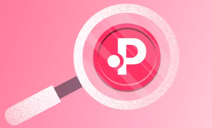 pols币未来前景如何