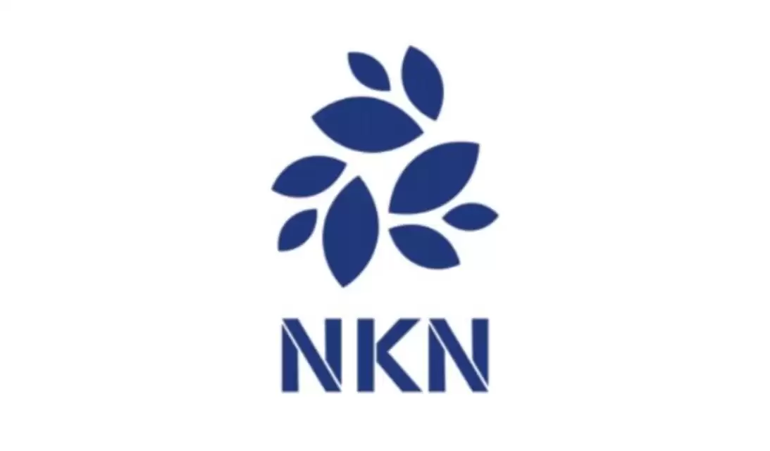 nkn币能涨到多少