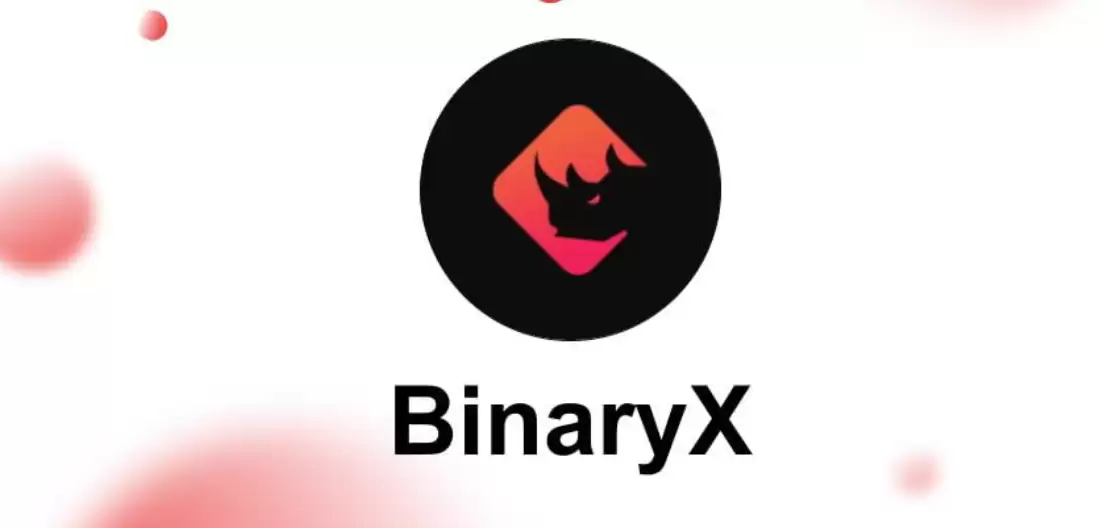 bnx币会涨到多少