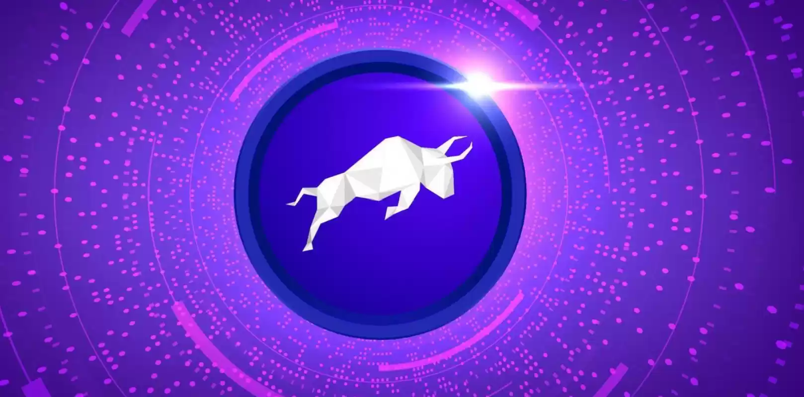 poly币值得购买吗