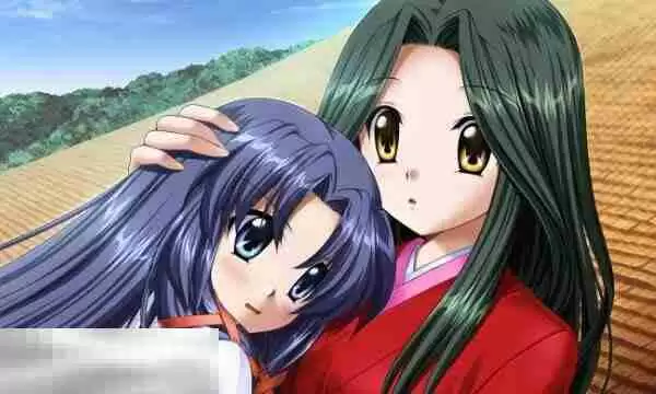 AIR支持中文吗 游戏支持语言一览