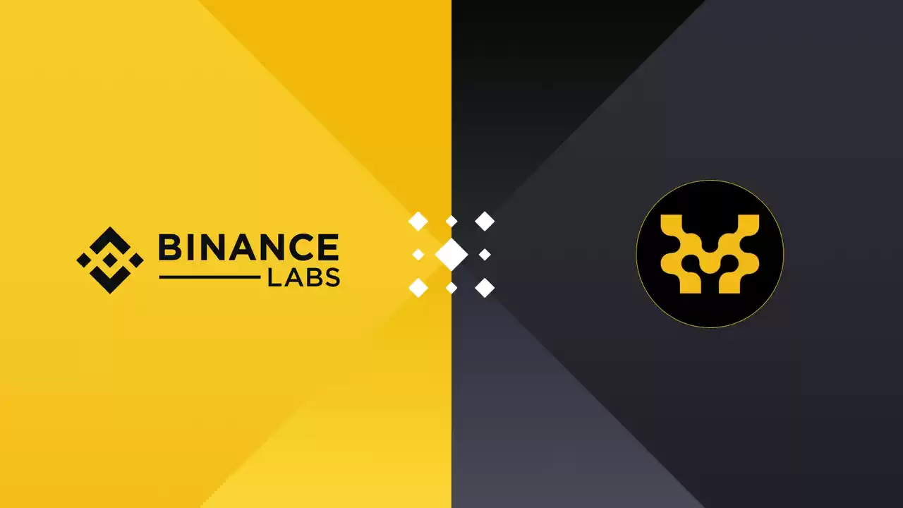 Movement Labs完成3800万元融资，获OKX和币安投资，MOVE系公链为何再受青睐？