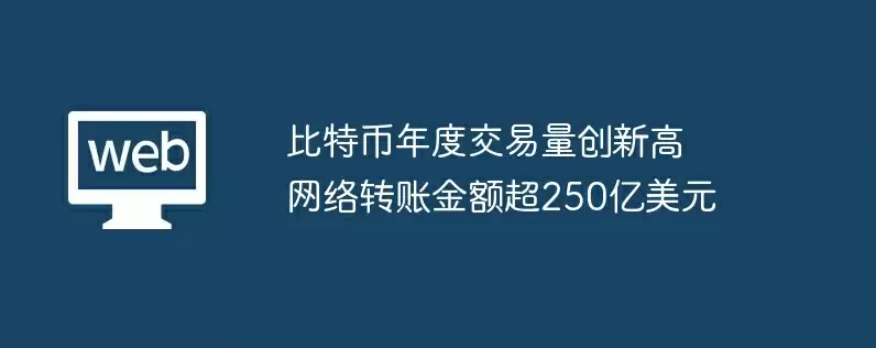 比特币年度交易量创新高　网络转账金额超250亿美元