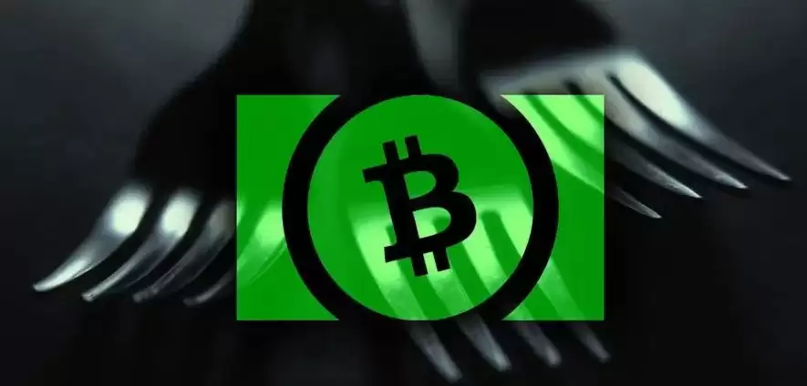 比特币现金是山寨币吗
