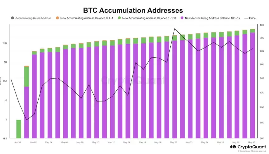比特币长期持有者再次恢复增持，ETF需求回升超越矿工抛售压力