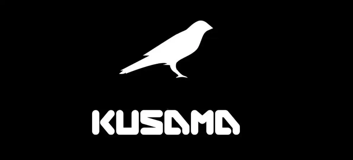 ksm币这个币怎么样