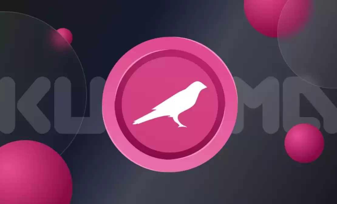 ksm币有上涨潜力吗