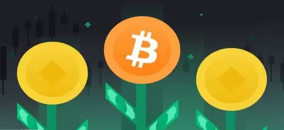 山寨币市值占比提升的原因是什么?