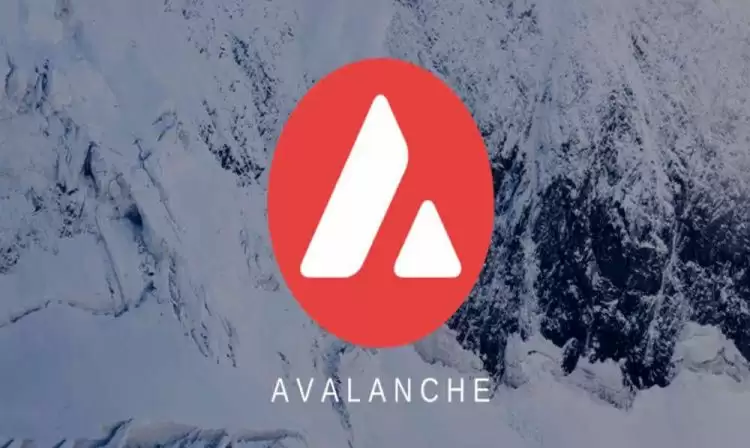 雪崩币是山寨币吗？AVAX币/雪崩币有投资价值吗？