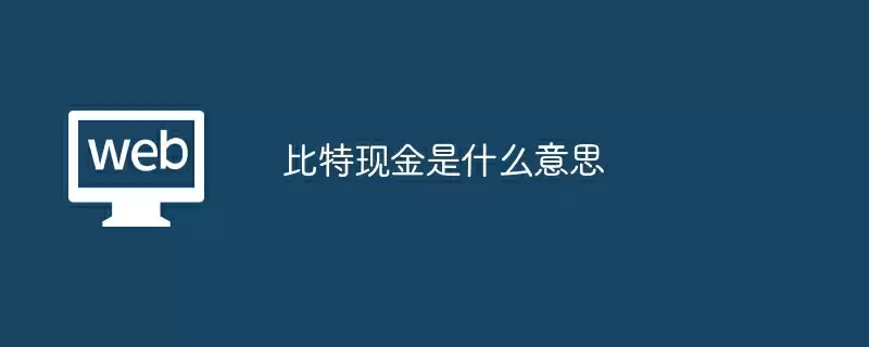 比特现金是什么意思