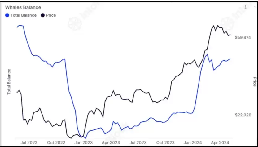 比特币ETF:机构鲸鱼大举买入,散户仍持谨慎态度