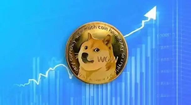 狗狗币适合长期持有吗
