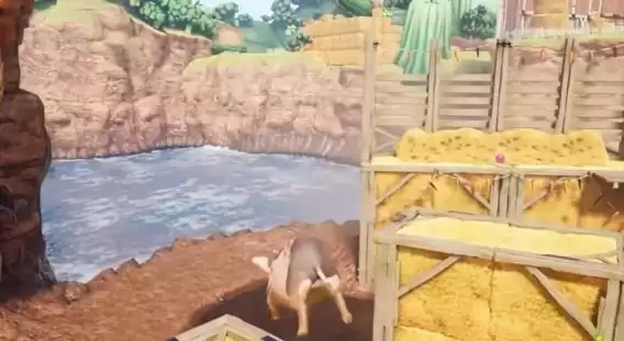 双影奇境农场支线怎么做 双影奇境农场支线流程攻略