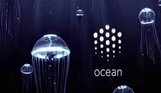一文详细了解ocean币怎么样?