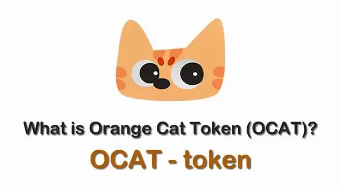 ocat是什么币种？ocat/橘猫币全面介绍