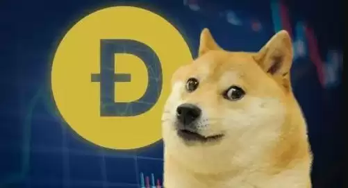 狗狗币合约怎么玩
