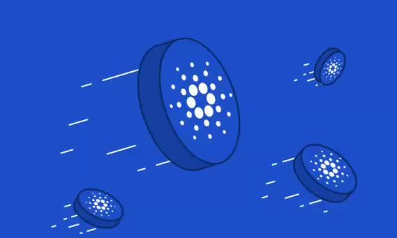 下一个牛市会暴涨的币有哪些?牛市暴涨100倍的6种加密货币分析