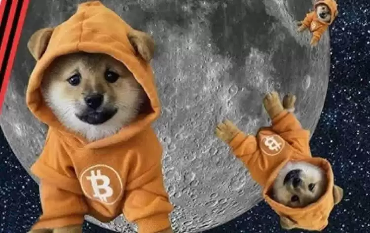 符文代币DOG币是什么?DOG币有前景吗?