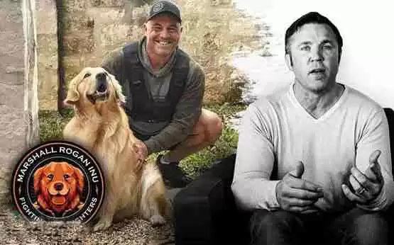 MRI币价格多少？MRI币价格最新行情