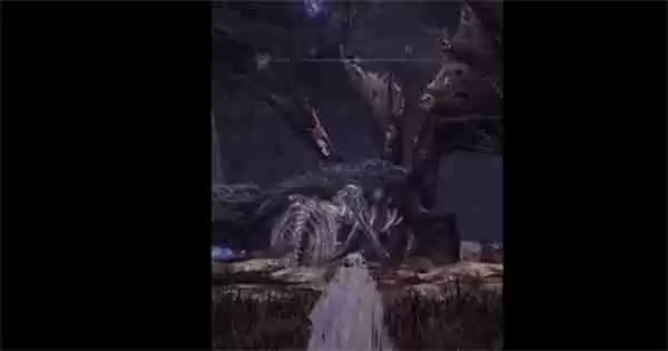 《艾尔登法环:黑夜君临》新BOSS职业泄露 贪食魔龙回归