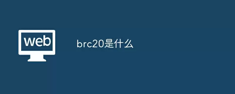 brc20是什么