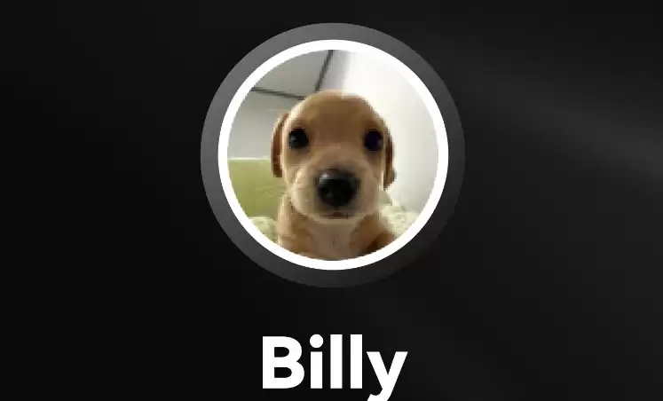 BILLY币怎么买卖交易?BILLY币上线了哪些交易所?