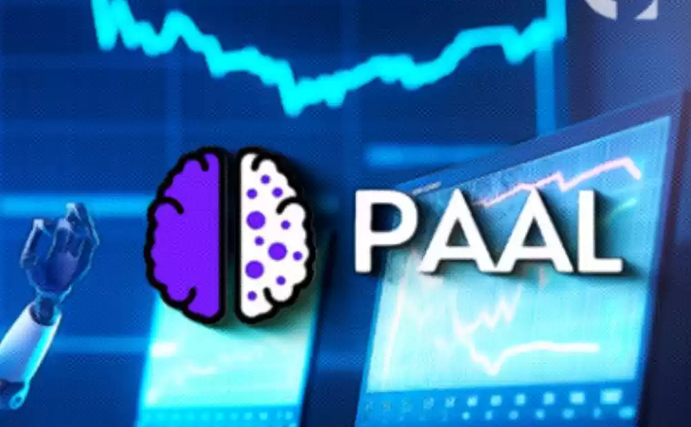 PAAL币有前景吗?值得投资吗?