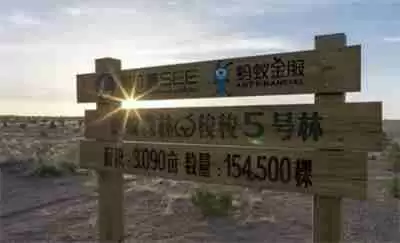 支付宝2021蚂蚁森林停车奖励新规则