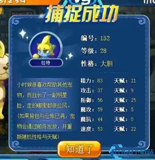 洛克王国手游酷拉捕捉全攻略 从刷怪到进化的终极指南