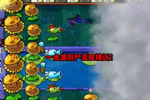 植物大战僵尸杂交版冒险第20关怎么过