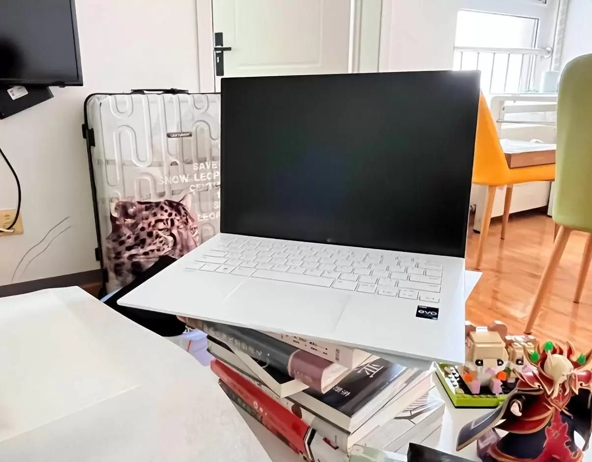 LG 乐金 gram值得买吗(lg笔记本电脑怎么样)