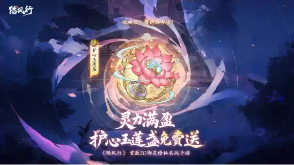 踏风行九霄，太极会武当 