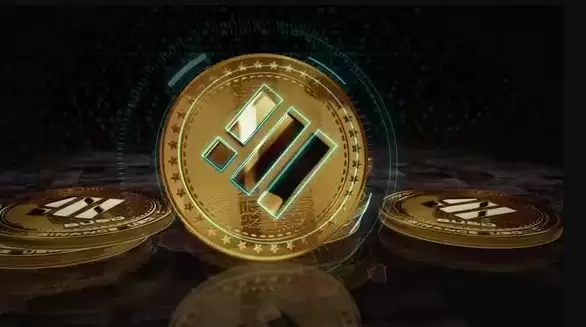 busd币中文叫什么