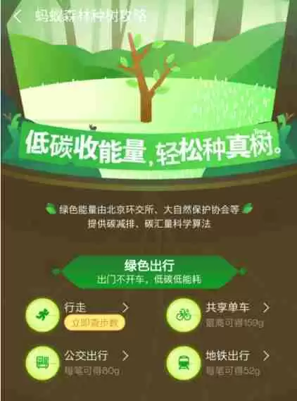 蚂蚁森林该如何获取能量